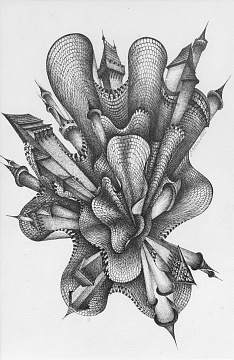 Без названия, 2022