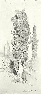 «Кипарисы (Алупка)», 1893