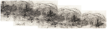 «Сады и башни», 2009