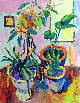 «Комнатные цветы», 2006